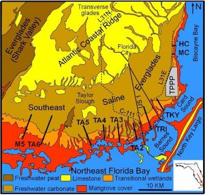 The paleo-ecological application of mollusks in the calculation of saltwater encroachment and resultant changes in depositional patterns driven by the Anthropocene Marine Transgression